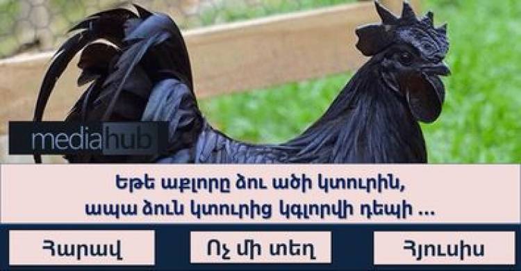 ԹԵՍՏ․ Բազմագիտա՞կ եք այնքան, որպեսզի 100%-ով անցնեք այս թեստը