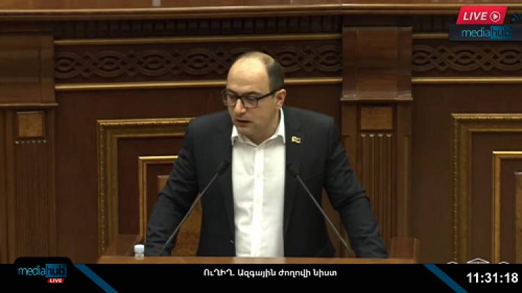 Սահմանադրականություն բառը բարդ է ձեզ համար, հետ եք սովորել դա լսել և օգտագործել․ Մամիջանյան (տեսանյութ)