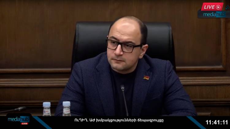Սփյուռքի հանձնակատարի ներգրավումը այս գործում որևէ կերպ ես չեմ տեսել․ Մամիջանյան