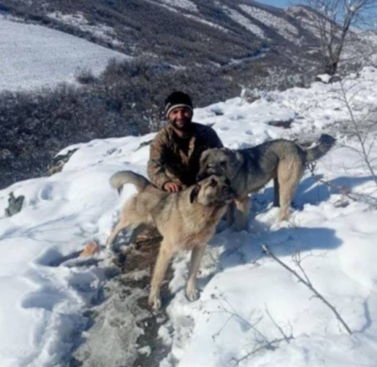 Երասխում հակառակորդի կրակոցից սերժանտը զոհվել է ընկերներին հաց տանելիս․ Hraparak.am