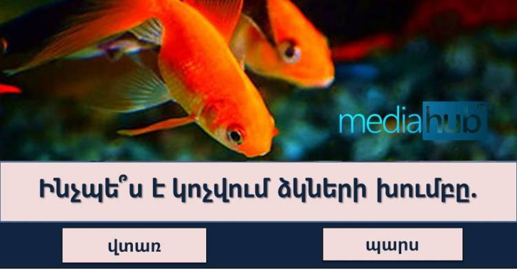 Թեստ․ պարզ հարցեր, որոնց պատասխանները հայտնի են միայն 130-ից բարձ IQ ունեցողներին