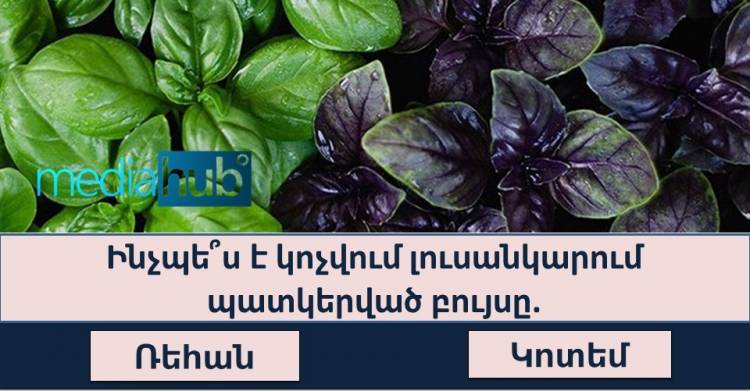 Բազմագիտակության թեստ բոլոր նրանց համար, ովքեր սիրում են մարզել ուղեղը