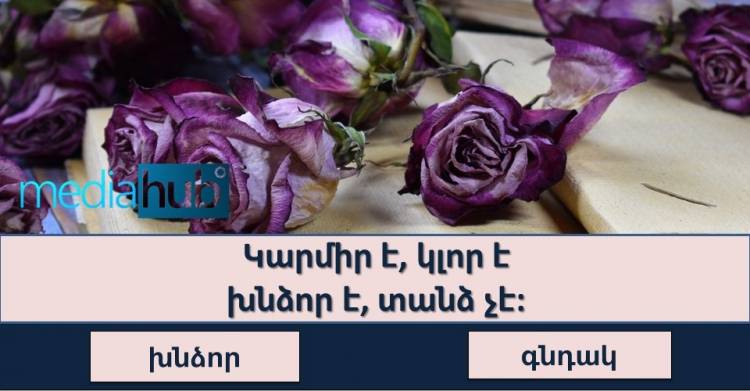 Թեստ․Դուք իսկական գիտուն եք, եթե կարողանաք պատասխանել այս 11 հարցերին
