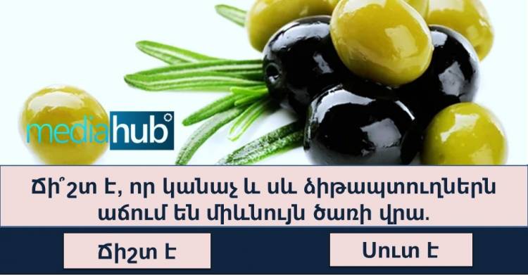 ԹԵՍՏ․ Եթե ճիշտ պատասխանեք մեր բnլոր հարցերին, կնշանակի, nր իզուր չեք ստացել բարձրագույն կրթություն