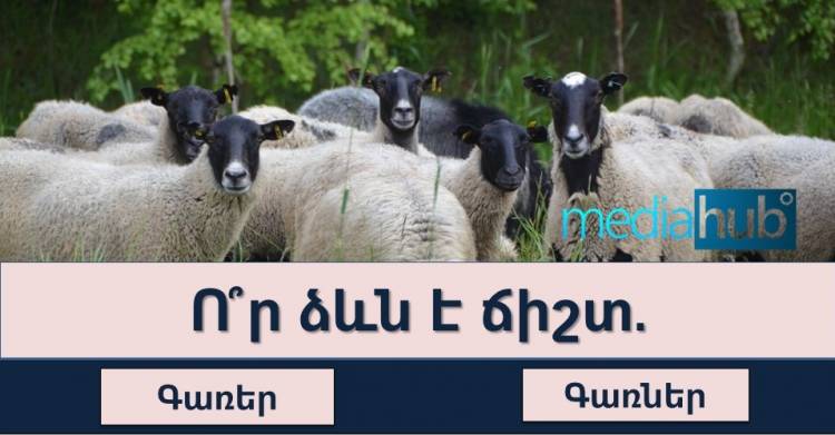 Թեստ․Ո՞ր ձևն է ճիշտ
