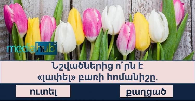 Թեստ. մարդկանց ընդամենը 7%-ին է հաջողվում անցնել այս ինտելեկտուալ թեստը