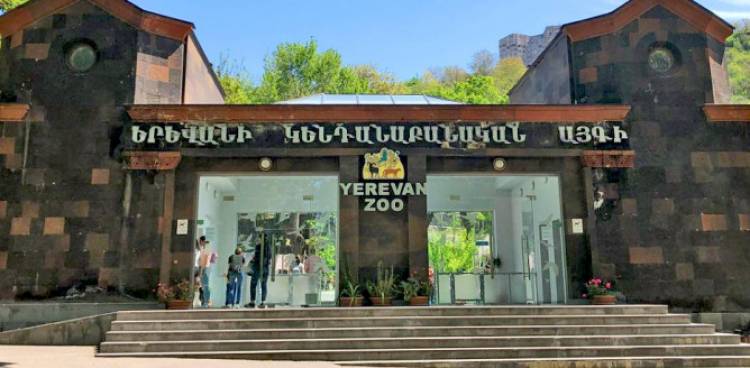 Վաղը Կենդանաբանական այգու բացումն է