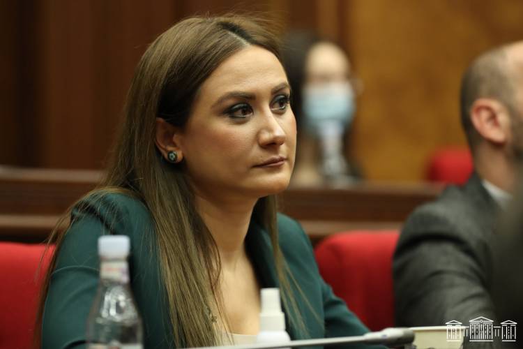 Բռնության պաշտպանները