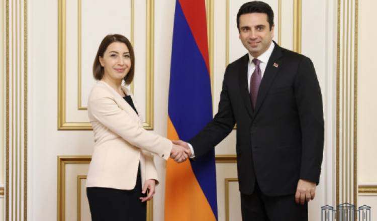 Ալեն Սիմոնյանն ընդունել է Մարդու իրավունքների պաշտպանին
