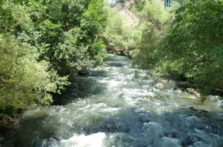 Փամբակ գետից դի է դուրս բերվել