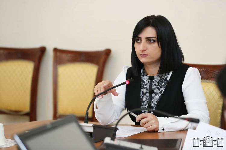 Մայիսի 16-ից մինչ 24-ն ընկած ժամանակահատվածում հատուկ տարածք է տեղափոխվել ավտոերթ իրականացնող քաղաքացիների 53 տրանսպորտային միջոց․ Թովմասյան