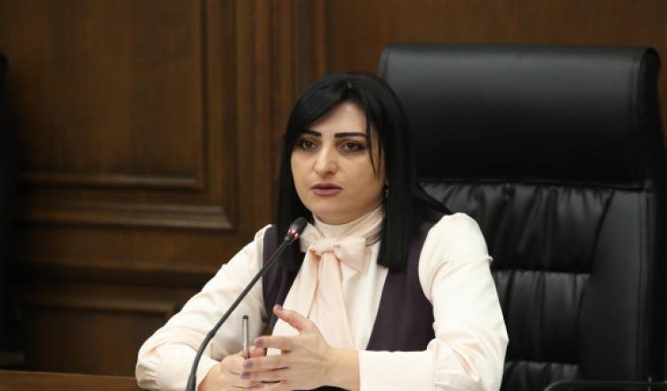 Ոստիկանական բոլոր վայրագությունների մասին համապատասխան զեկույցներով կտեղեկացվեն նաեւ մեր միջազգային գործընկերները. Թովմասյան