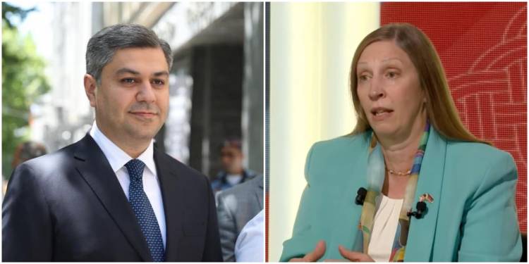 ԱՄՆ դեսպանը հանդիպել է Արթուր Վանեցյանի հետ