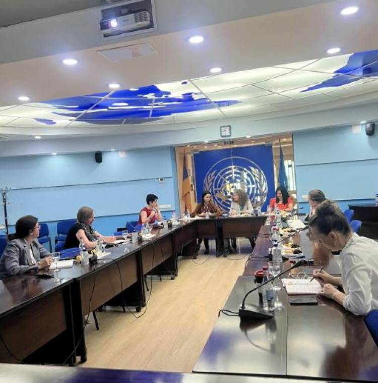Թագուհի Թովմասյանը հանդիպել է ՄԱԿ գործակալությունների ղեկավարներին