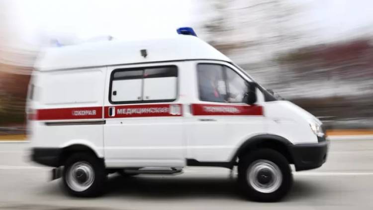 На Кубани автобус с туристами врезался в дерево