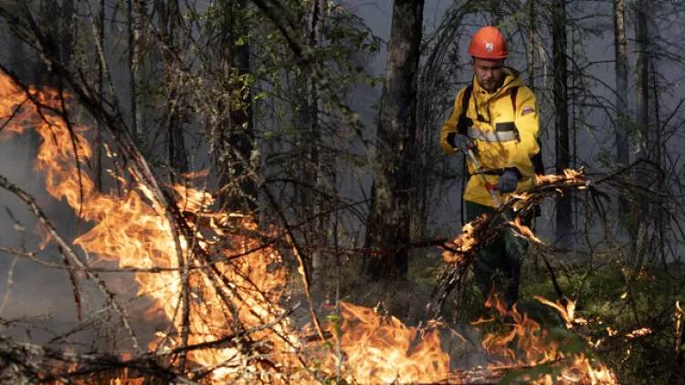 В лесах Приангарья действуют пять лесных пожаров