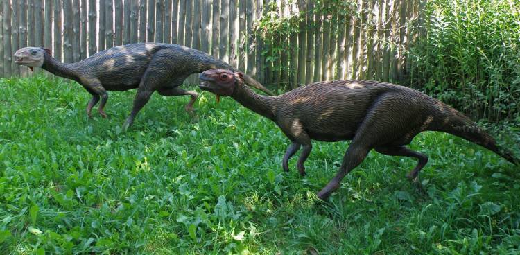 Գիտնականներն ապացուցել են, որ դինոզավրերը կարողացել են դիմանալ ցրտահարություններին