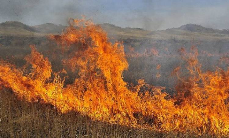 Վարագավան գյուղում այրվել է մոտ 200 հակ անասնակեր