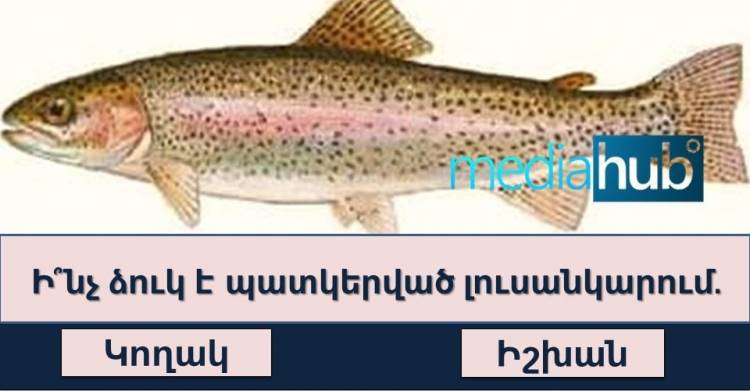 ԹԵՍՏ․ շատ քչերին է հաջողվում պատասխանել բոլոր հարցերին