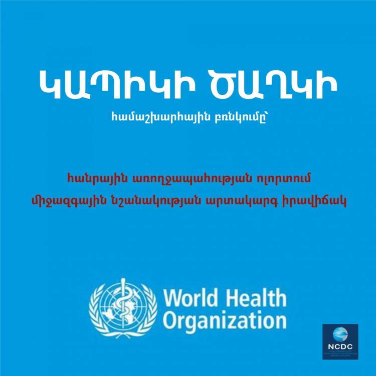 Աշխարհի 80 երկրում արձանագրվել է կապիկի ծաղիկի ավելի քան 17000 դեպք