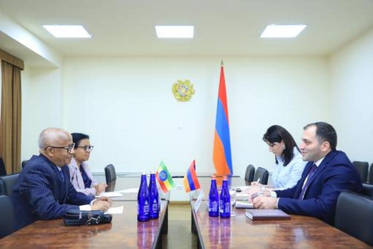 ԲՏԱ նախարարը Եթովպիայի դեսպանին է ներկայացրել տեխնոլոգիական կրթության ուղղությամբ ծրագրերը