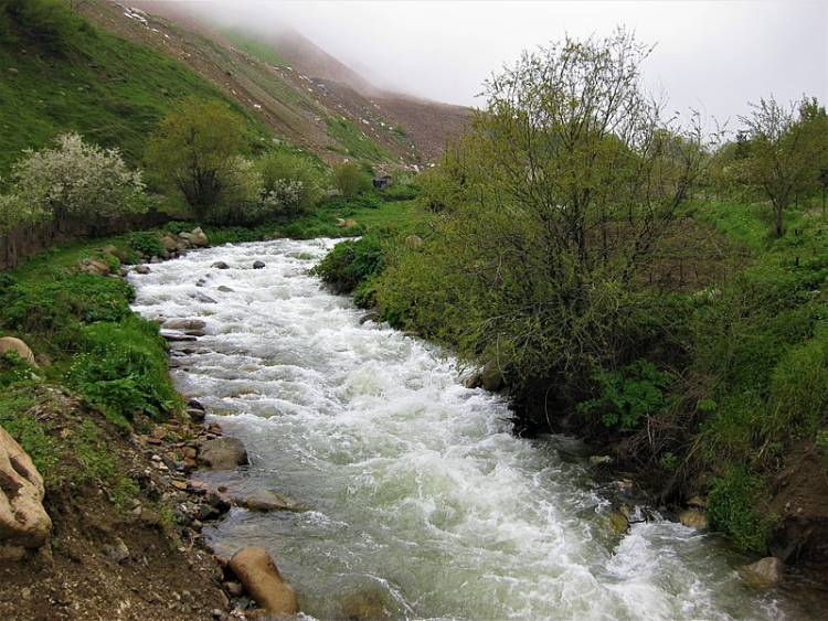 Ողջի գետի ջուրը փորձաքննության է ուղարկվել, շուտով կպարզվի՝ ԶՊՄԿ-ն թունավորել է այն, թե՞՝ ոչ