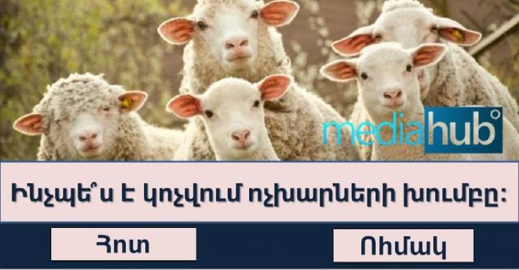 ԹԵՍՏ. կկարողանա՞ք հաղթահարել այս տրամաբանական թեստը