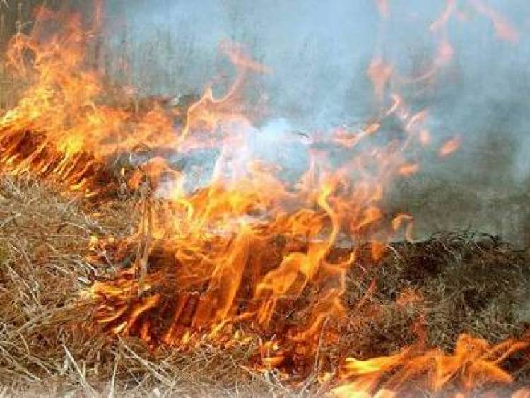 Բերդավան գյուղում այրվել է 35 հա խոտածածկույթ