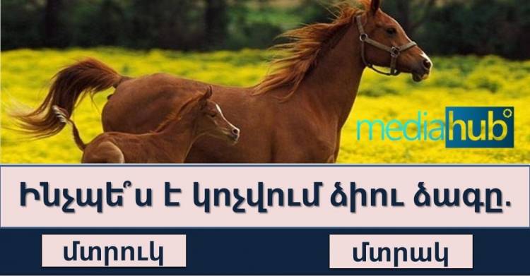 ԹԵՍՏ, որը կարող է անցնել միայն ընդարձակ գիտելիքներ ունեցող մարդը: Իսկ դու կանցնե՞ս
