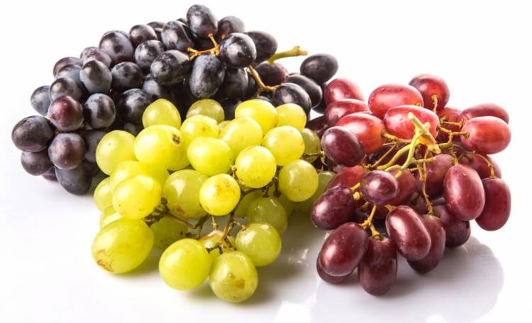 Ինչո՞վ է վտանգավոր խաղողը
