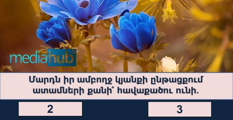 Ինտելեկտուալ թեստ. Խելացի՞ եք արդյոք միջին վիճակագրական ամերիկացուց