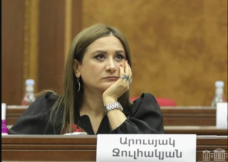 ՔՊ-ական Արուսյակ Ջուլհակյանը կարող է խոսել միայն ադրբեջանական ժողովրդի անունից