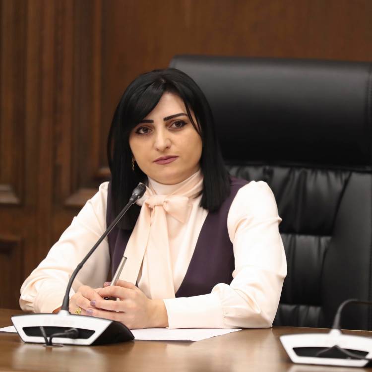 Մեր խնդիրը մինչ այս վերջին պատերազմը գերեվարված և նոր գերիներն են, անհայտ կորածները, դիերը․ Թագուհի Թովմասյան