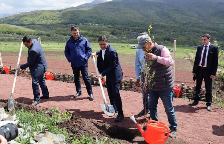 Ընդդիմության հանրահավաքի օրը իշխանությունը ծառատունկ է իրականացնելու․ «Հրապարակ»