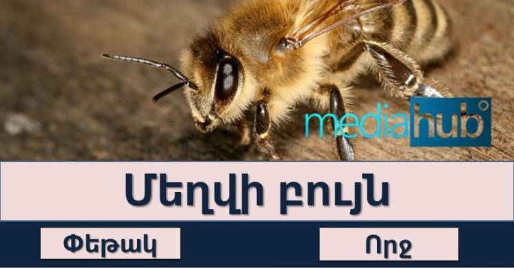 Թեստ․ արտահայտի՛ր մեկ բառով