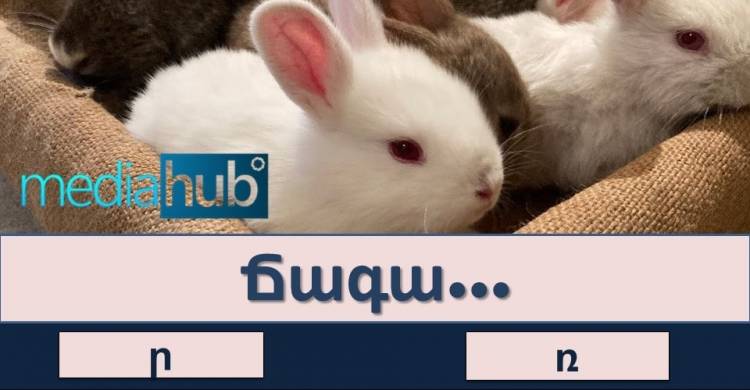 ԹԵՍՏ․ բառային թելադրություն հայոց լեզվից, տեսնենք ով ի՞նչ է հիշում