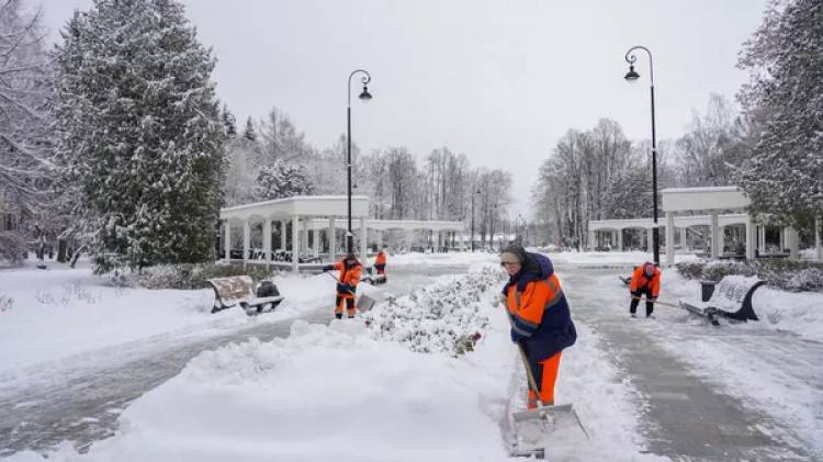 Москвичам рассказали о погоде в четверг