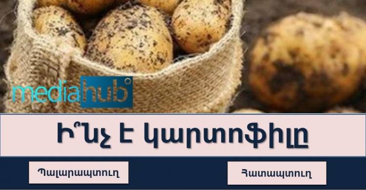 Թեստ. միայն ինտլեկտուալ զարգացած մարդկանց է հաջողվում անցնել այս թեստը