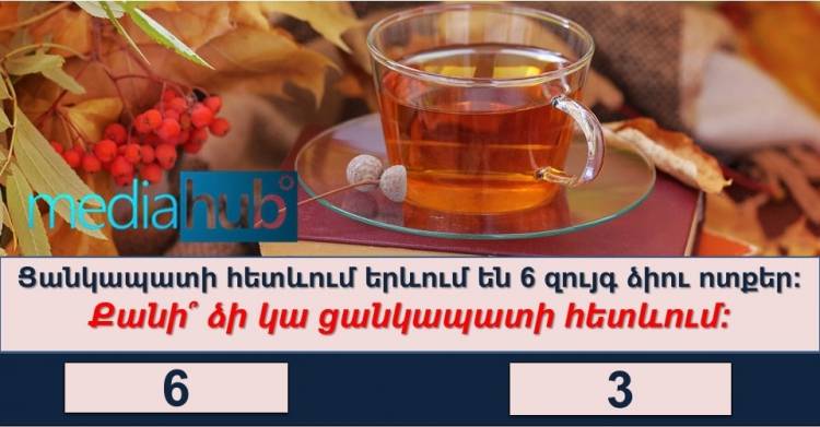 Թեստ. կարո՞ղ եք գտնել այս տրամաբանական հարցերի պատասխանը
