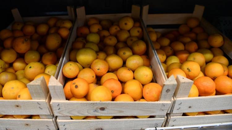 Роскачество обнаружило следы пестицидов в мандаринах