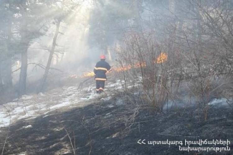 Պրիվոլնոյե գյուղի մոտակայքում այրվել է մոտ 10 հա խոտածածկույթ, որից 5 հա՝ անտառային հատվածում