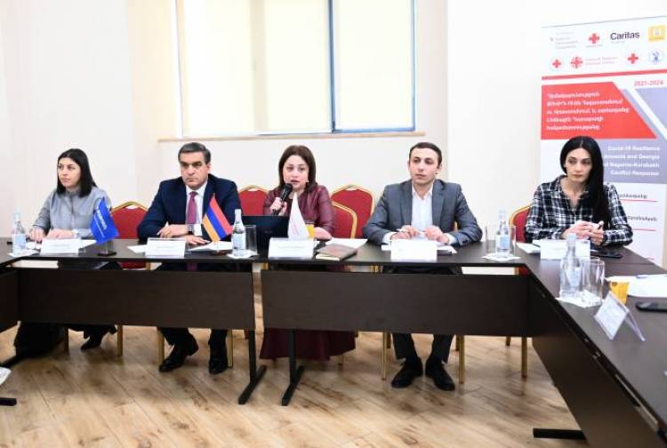 «Թաթոյան» հիմնադրամն ու Արցախի ՄԻՊ-ը քննարկել են համատեղ գործողությունների հնարավորությունները