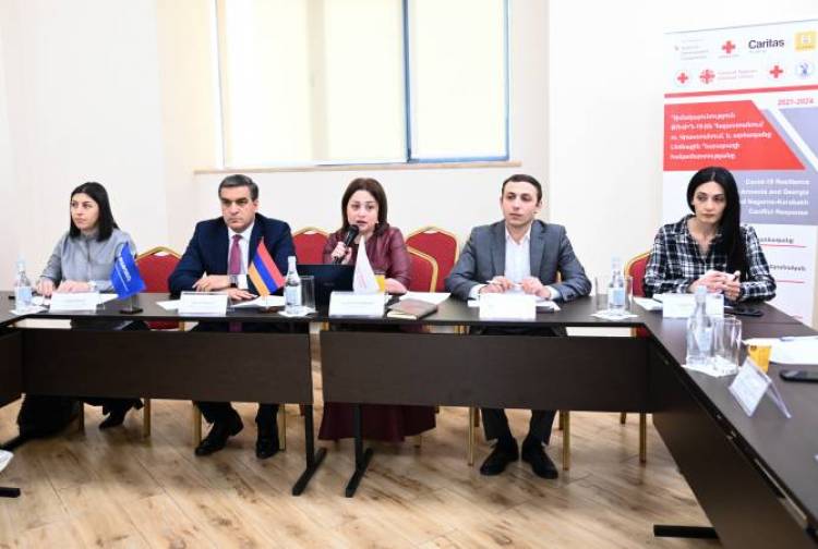 «Թաթոյան» հիմնադրամն ու Արցախի ՄԻՊ-ը քննարկել են համատեղ գործողությունների հնարավորությունները