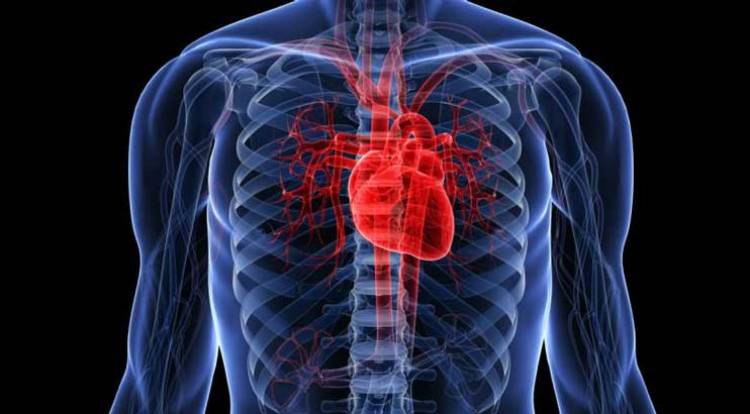 Ինչ է սրտի առիթմիան, ինչու է առաջնում և 1 րոպեում քանի անգամ պետք է զարկի առողջ սիրտը