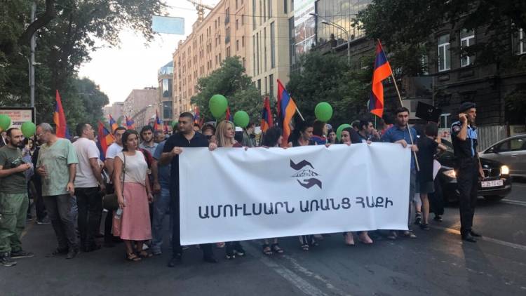 Ամուլսարի թնջուկը. բնապահպանների հարցերն անպատասխան են, իշխանությունը՝ գոհ