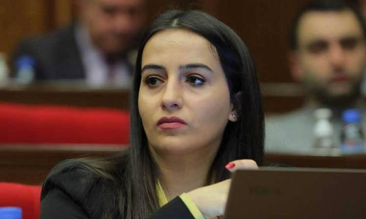 Վարդանյանի հրաժարականը լուծում չէ, կարևորը փաշինյանական-ալիևյան ռեժիմներին չզիջելն է. հարցազրույց