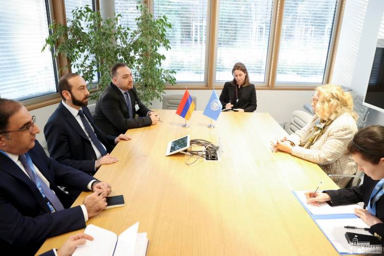 Արարատ Միրզոյանը ՄԱԿ-ի գրասենյակի գլխավոր տնօրենի հետ քննարկել է Ադրբեջանի սանձազերծած լայնածավալ ագրեսիայի հետևանքները