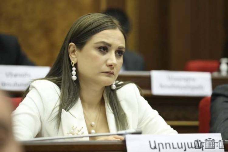 Պատգամավոր Արուսյակ Ջուլհակյանը կգործուղվի Հաագա