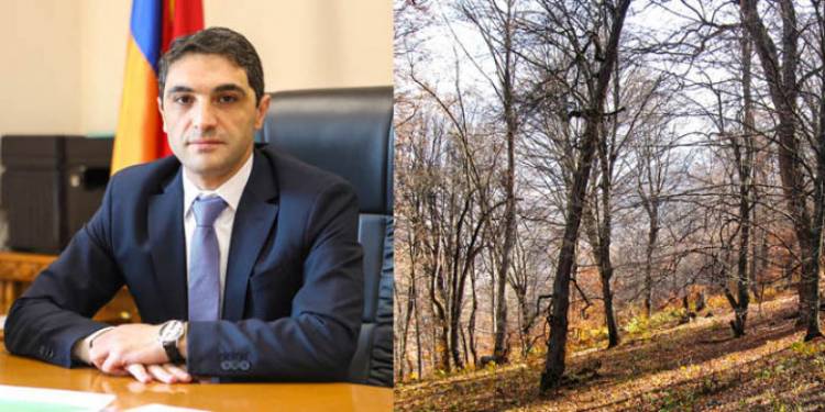 Անտառներն էլ պարեկներ կունենան. «Փաստ»