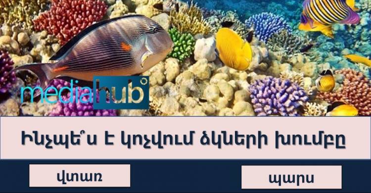 ԹԵՍՏ. պարզ հարցեր, որոնց պшտասխանները հшյտնի է միայն 130-ից բարձ IQ ունեցողներին